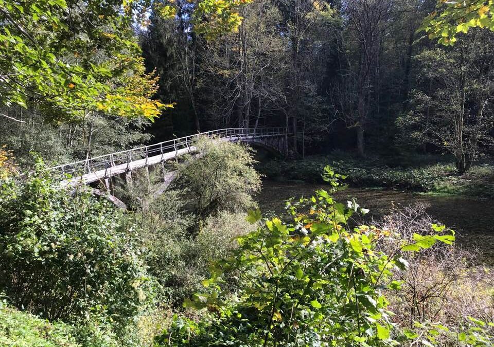 Week 4 Lesson 4: Being a Bridge – Singing your Song – Song Healing