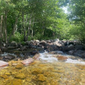 The Medicine of your Voice Method 5 Day France Retreat, La Solleilade, Cevennes, France | 16 - 20 September, 2026